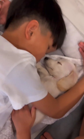 寝てるワンコの前足にチューしとうとする