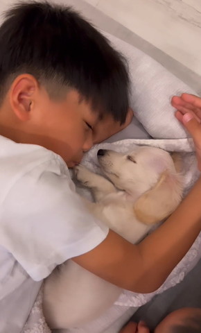 寝てるワンコの前足にチュー