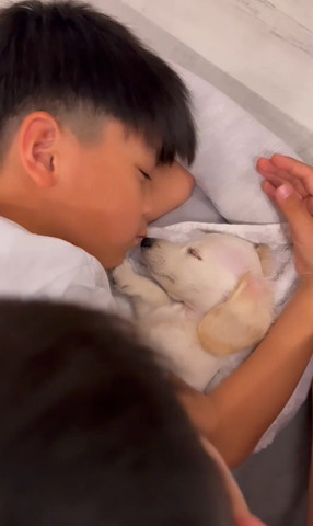 ワンコの鼻にチュー