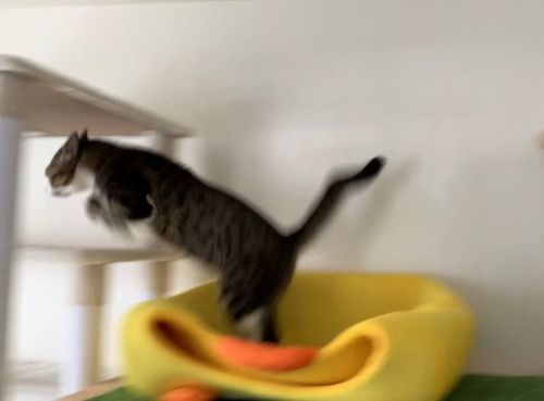 おすすめ