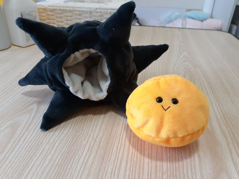 中身が飛び出る「ウニのぬいぐるみ」がカワイイ！　「斬新」「キャベツ食べさせたい」と話題に