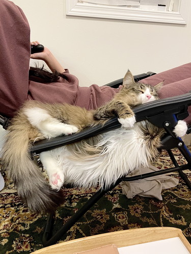 隣で寝たいしろあんちゃん