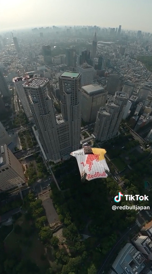 スカイダイビング フライト 都庁