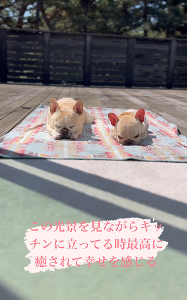 フレブル