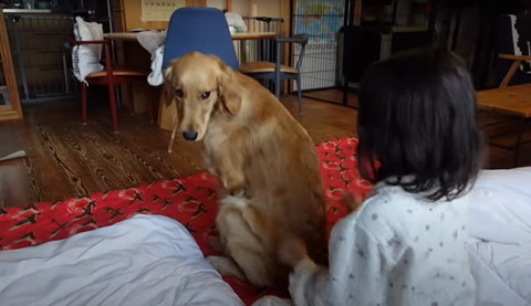 後ろ振り返るワンコ