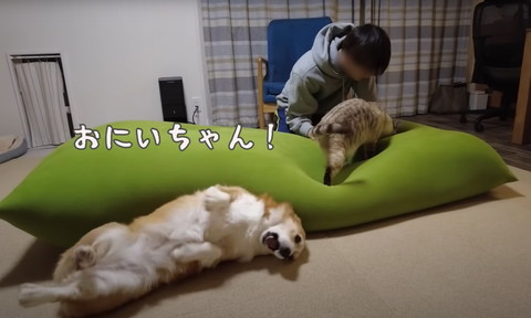 おにいちゃんテロップ