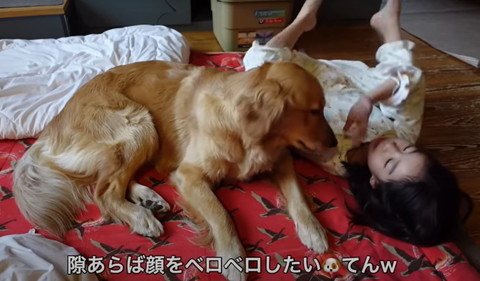 隙あらば顔をテロップ