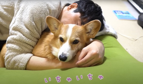 いちゃいちゃテロップ