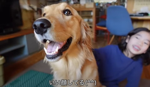 いい顔してるテロップ