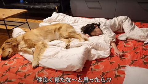 同じ寝相のワンコと娘さん