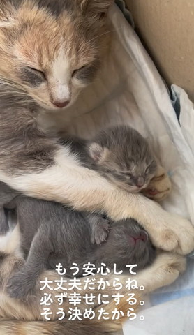 もう安心して大丈夫だからねテロップ