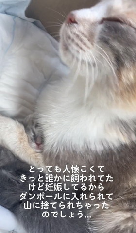 とても人懐っこくてテロップ