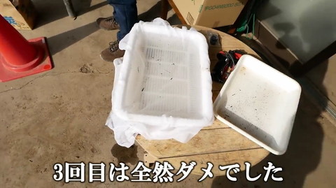採集