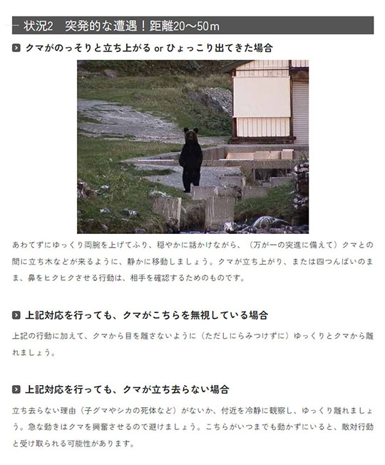 北海道　新冠町万世　熊　ヒグマ　出没　注意喚起