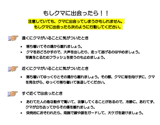 北海道　新冠町万世　熊　ヒグマ　出没　注意喚起