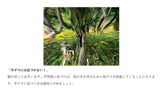 北海道　新冠町万世　熊　ヒグマ　出没　注意喚起