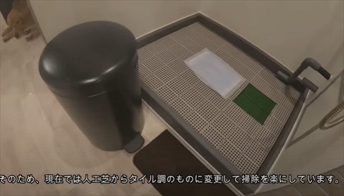 犬専用の水洗トイレを設置した飼い主さん