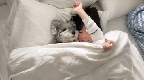犬 子ども 添い寝 1年目 4年 ビフォーアフター 成長 仲良し 赤ちゃん 娘 ワンコ
