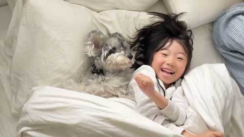 犬 子ども 添い寝 1年目 4年 ビフォーアフター 成長 仲良し 赤ちゃん 娘 ワンコ