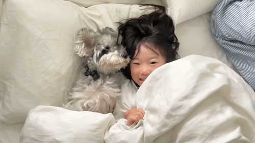 犬 子ども 添い寝 1年目 4年 ビフォーアフター 成長 仲良し 赤ちゃん 娘 ワンコ