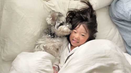 犬 子ども 添い寝 1年目 4年 ビフォーアフター 成長 仲良し 赤ちゃん 娘 ワンコ