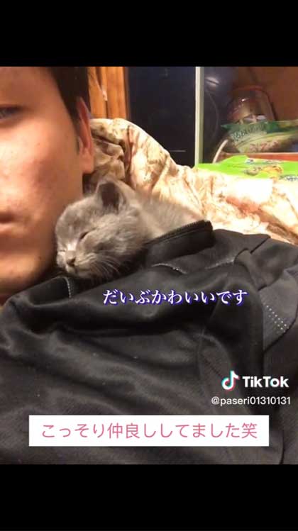 6年前に保護した子猫