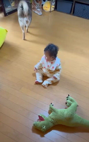 歩いていくワンコ後ろ姿