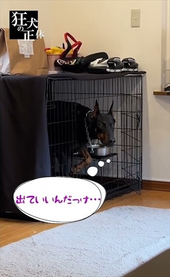 オススメ