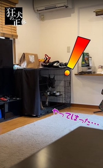 許可が無いと出られないハウスに、うっかり入っちゃったドーベルマン