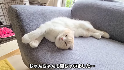 じゅんちゃんも