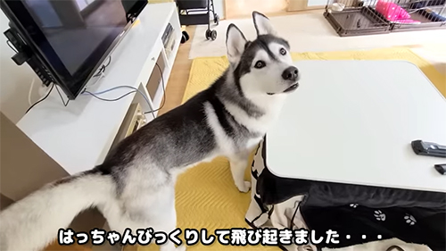 びっくりはっちゃん