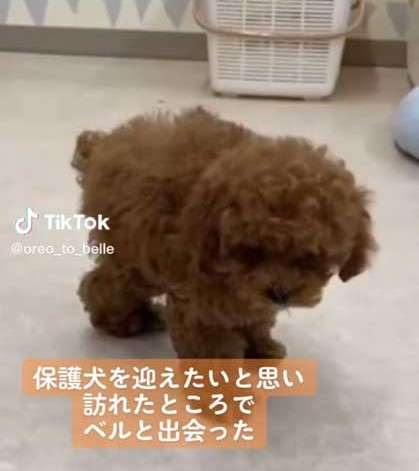 オススメ