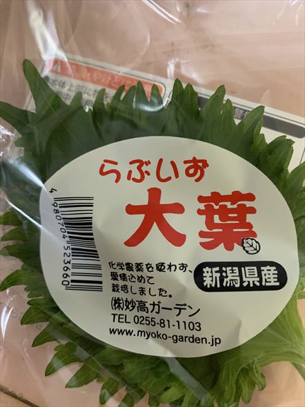 大葉 欧陽菲菲 ラヴイズオーヴァー 妙高ガーデン