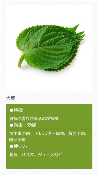 大葉 欧陽菲菲 ラヴイズオーヴァー 妙高ガーデン