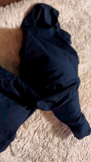 猫が入った上着