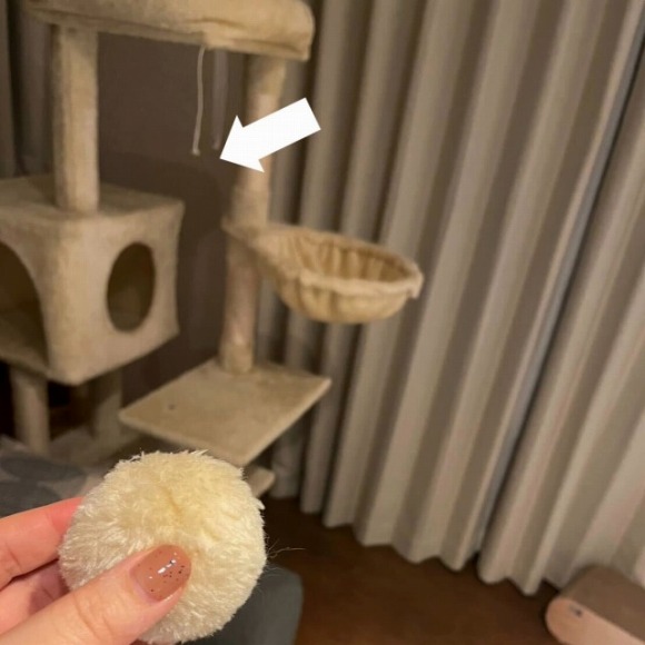 キャットタワーについていたおもちゃを猫がちぎったときの写真 ／【PR】 ライオンペット  猫砂 ニオイをとる砂