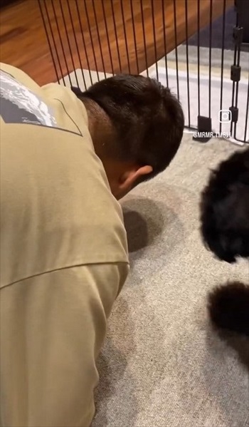 ごはん拒否するワンちゃんへの対処法