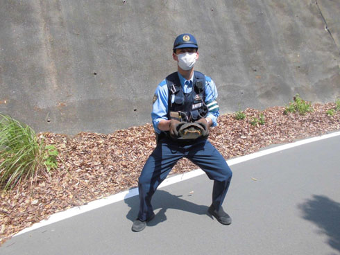 カメと警官