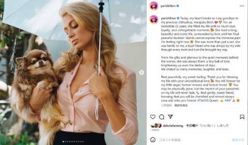 パリス・ヒルトンの愛犬ハラジュク・ビッチが亡くなる