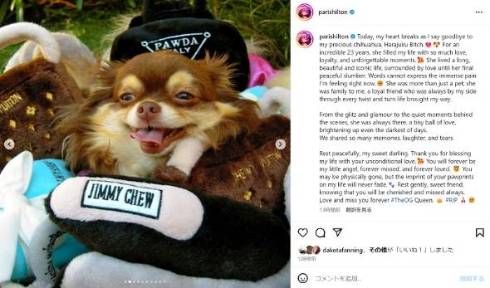 パリス・ヒルトンの愛犬ハラジュク・ビッチが亡くなる