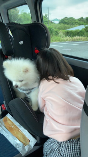 「チャイルドシートは特別で素晴らしいお席」