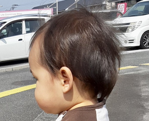 「見事な3.5頭身」