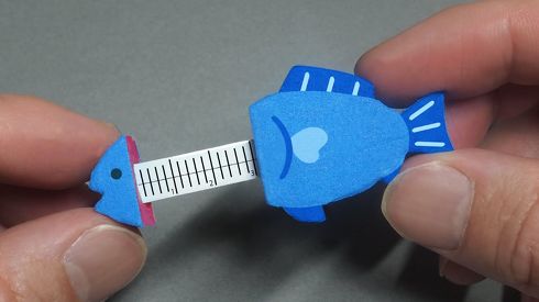 魚のメジャー