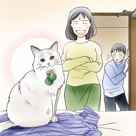 イラスト 人間の服の上で用を足しちゃった猫 ／【PR】 ライオンペット  猫砂 ニオイをとる砂