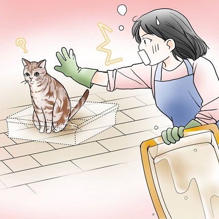 イラスト トイレの水洗い中に、普段トイレを置いている場所でおしっこしちゃった猫 ／【PR】 ライオンペット  猫砂 ニオイをとる砂