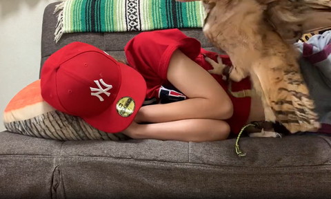 飼い主の脇腹にのぼるフクロウ