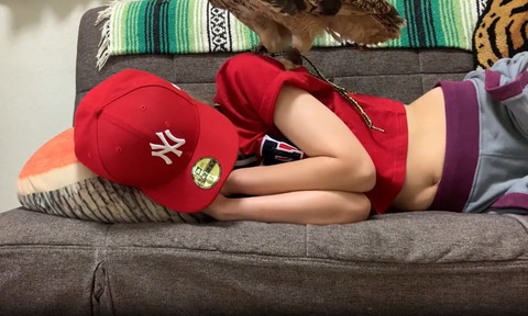 寝てる飼い主の肩に乗るフクロウ