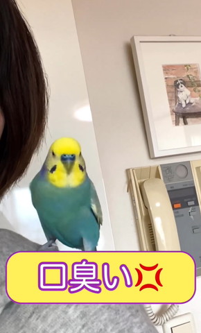 口臭いテロップ画像