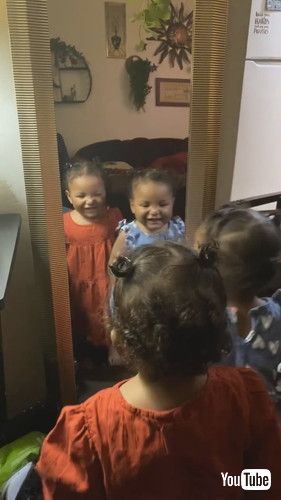 「Twin Sisters Realize They Look Alike || ViralHog」