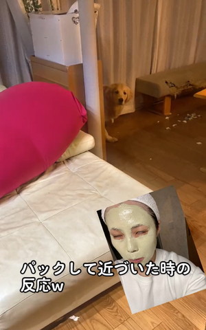 顔だしてのぞくワンコ